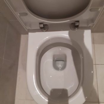 toilet-cleaning-400x533
